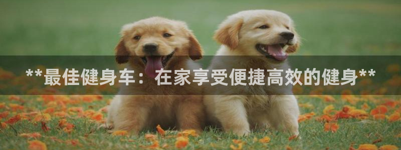 国际龙8官方网站