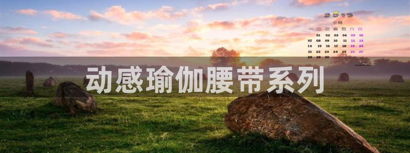 龙8国际官网