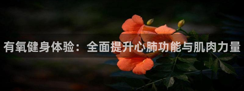 龙8游戏平台老虎机