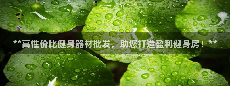 龙8国际唯一官网手游登入口