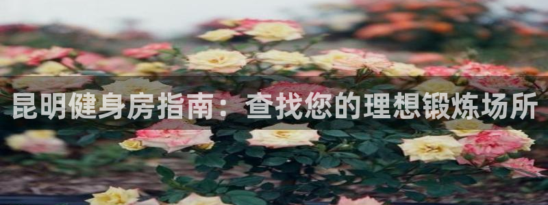 龙8国际的官方网站