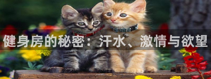 龙8游戏入口