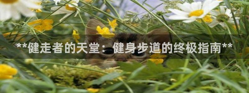 龙8国际官网下载地址
