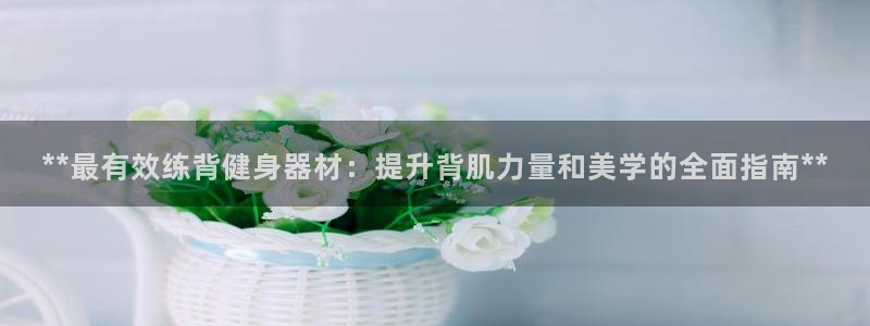 龙8游戏平台官方