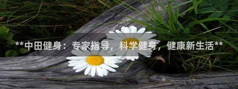 龙8国际游戏最新资讯