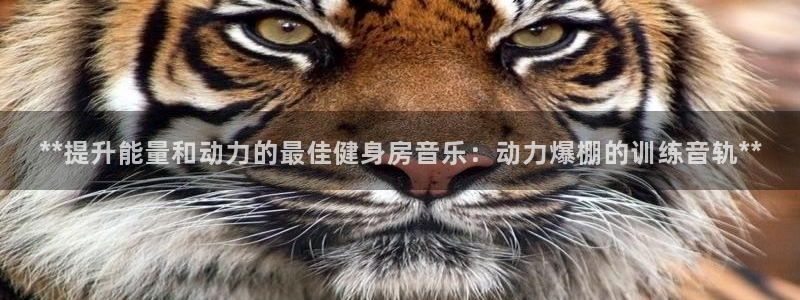龙8-龙国际-long8-龙8游戏