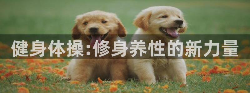 龙8官网正版
