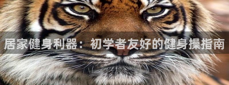 龙8国际是什么电影