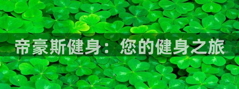龙8老虎机手机版