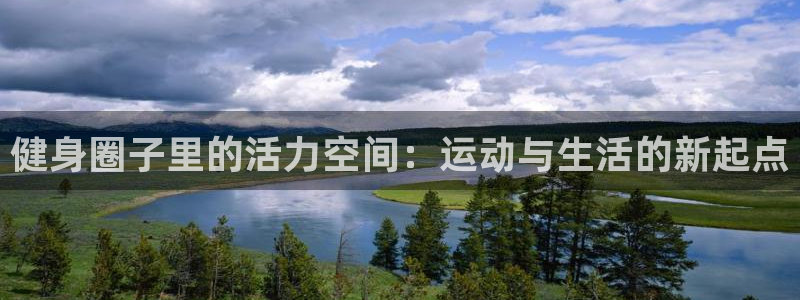 龙八国际娱乐官网app