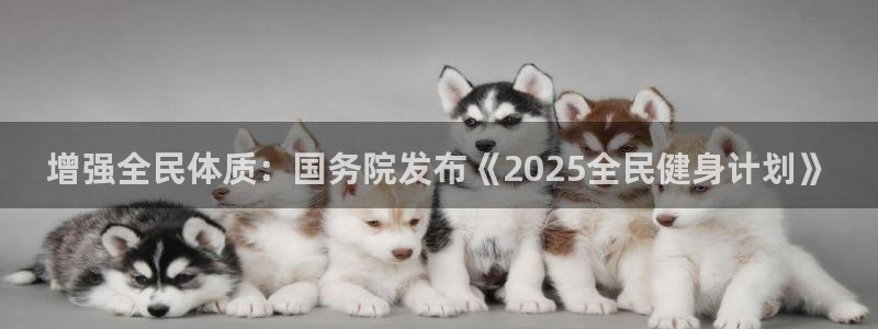 龙8国际平台输了多少