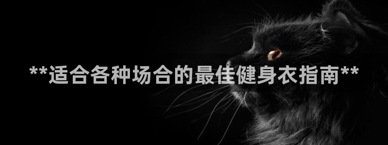 龙8app 国际