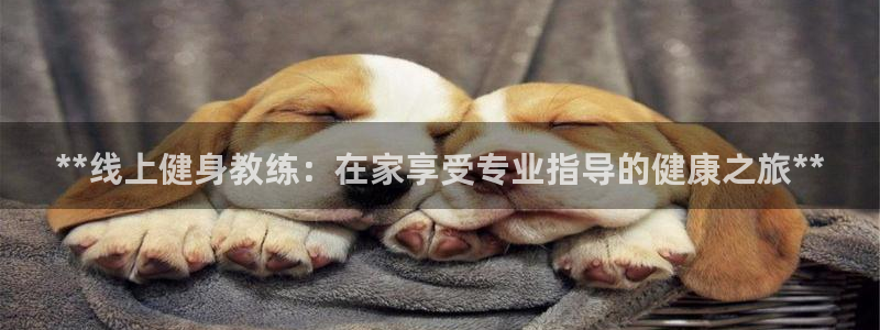 龙8国际为啥改名叫头号玩家了呢