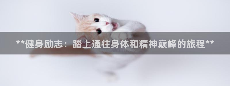 龙8娱乐国际城