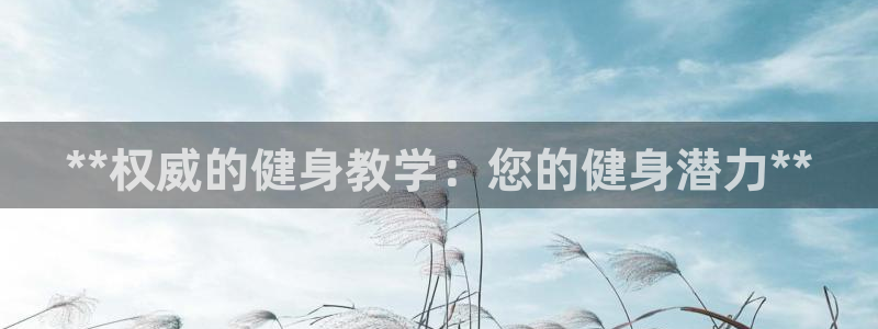 龙8国际手机版app