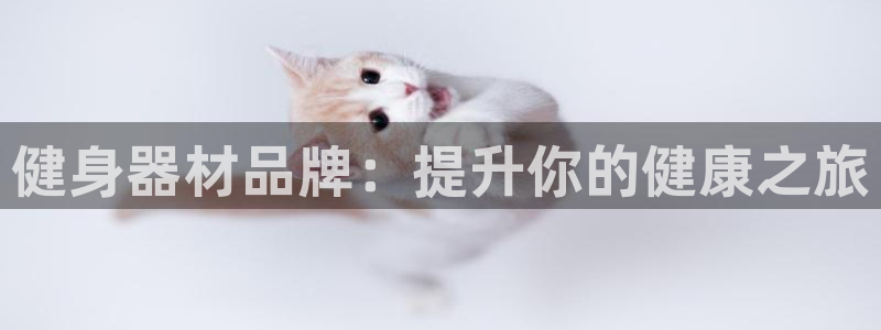 龙8国际手机版下载