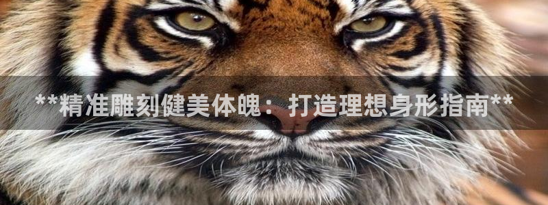 龙8国际试玩