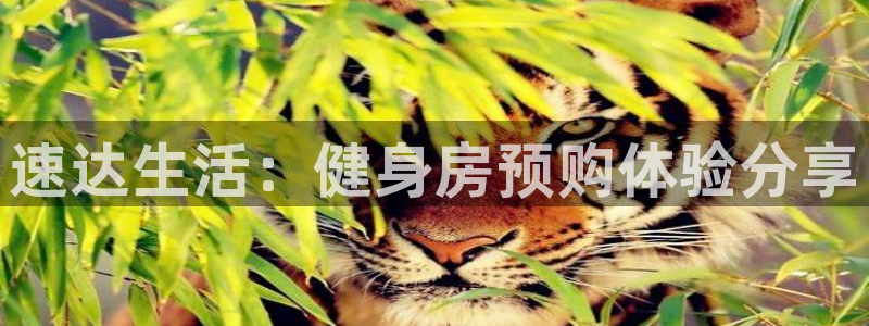 龙8国际是不是黑台子