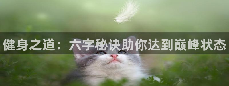 龙八国际娱乐老板是谁
