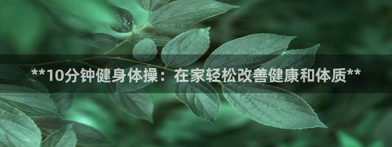 龙八国际服官网入口