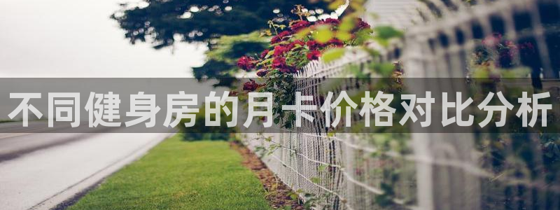 龙8游戏官方网站s