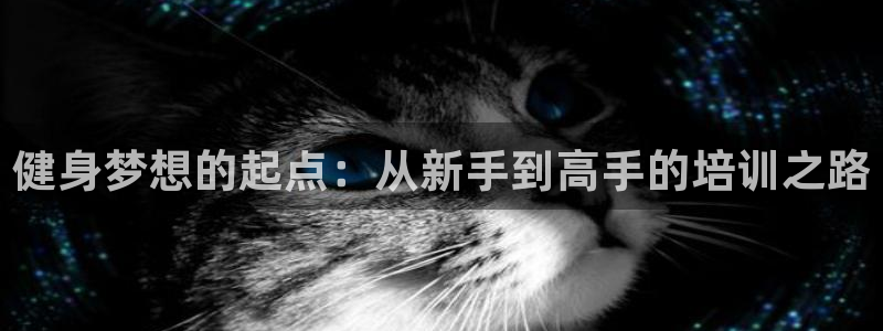 龙8国际官方下载
