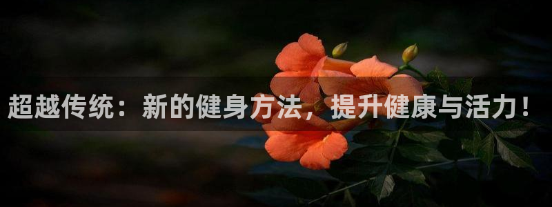 国际龙8下载