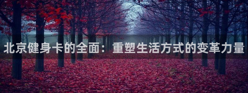 龙8国际老虎机官网
