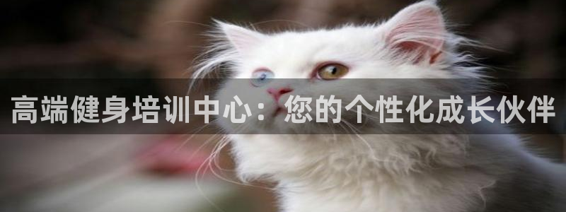 龙8国际官网下载