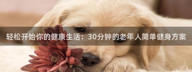 龙8国际下载