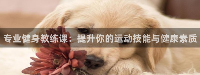 龙8游戏官网