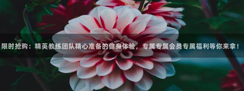 龙8国际唯一官网手游登入口