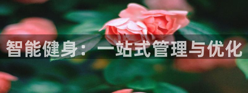 龙8国际手机游戏官网