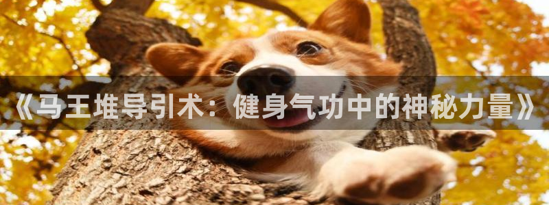 龙8国际long8龙8游戏
