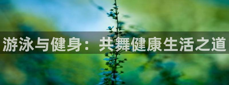 龙8国际登入