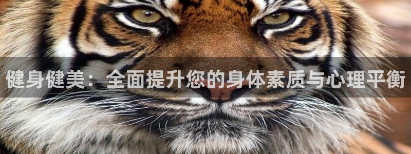 龙8国际老虎机游戏