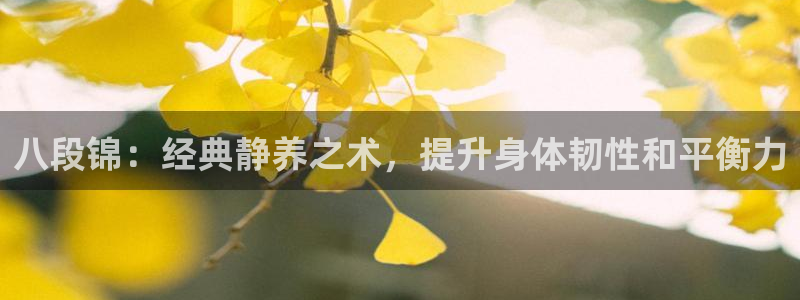 龙8国际pt官方网址