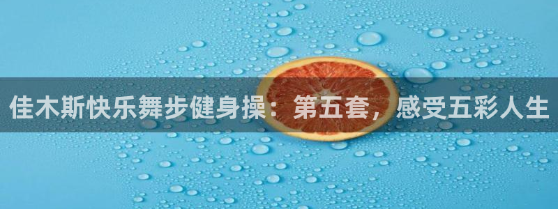 龙8官网国际