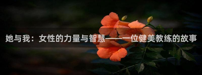 龙8国际官网娱乐