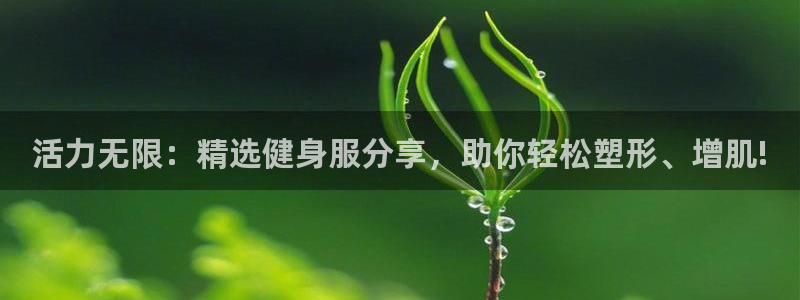龙8国际的漏洞
