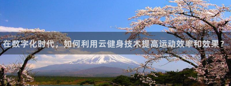 龙8国际免费试玩