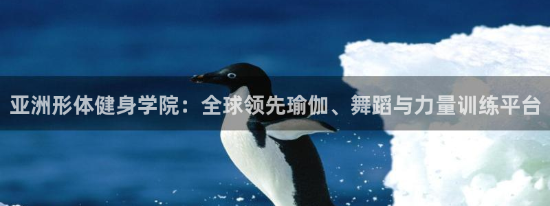 龙八国际手机客户端