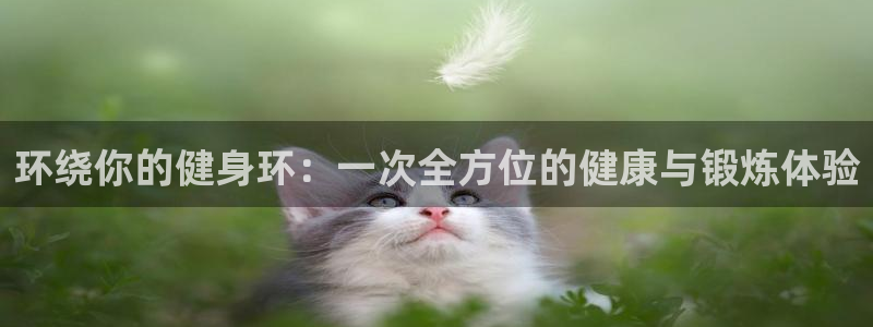 龙8国际官网首页