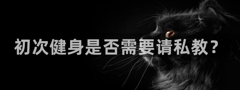 开户送88元体验金网站