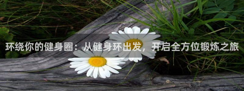 龙八国际娱