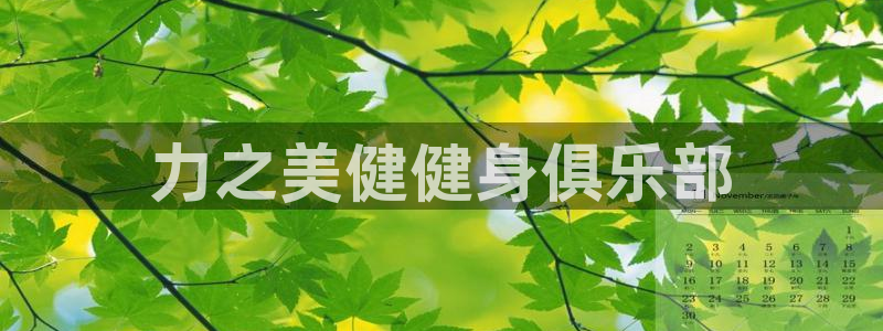 龙8国际网站