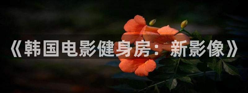 龙八国际娱乐在线游戏