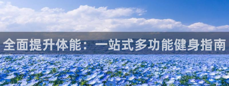 龙8国际手机版下载