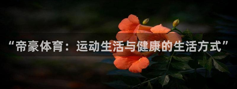 龙8国际app客户端下载不了