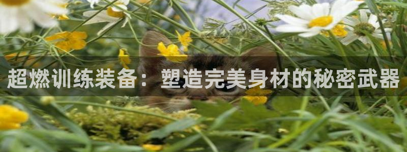 龙八国际官方网